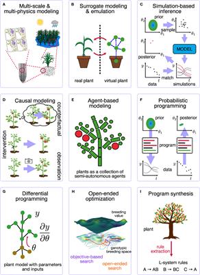 Plant science in the age of simulation intelligence